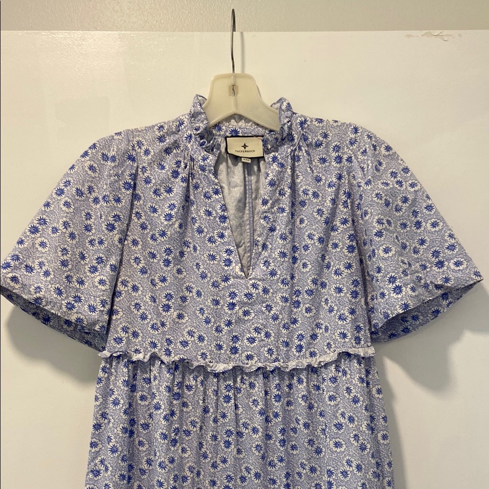 Tuckernuck Crawford Dress - Picture 7 of 11